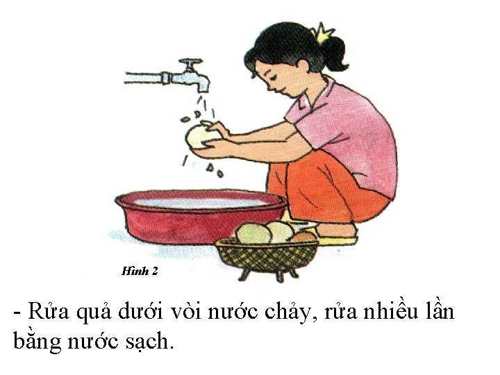Hình 2 - Rửa quả dưới vòi nước chảy, rửa nhiều lần bằng nước Hình 2 - Rửa quả dưới vòi nước chảy, rửa nhiều lần bằng nước