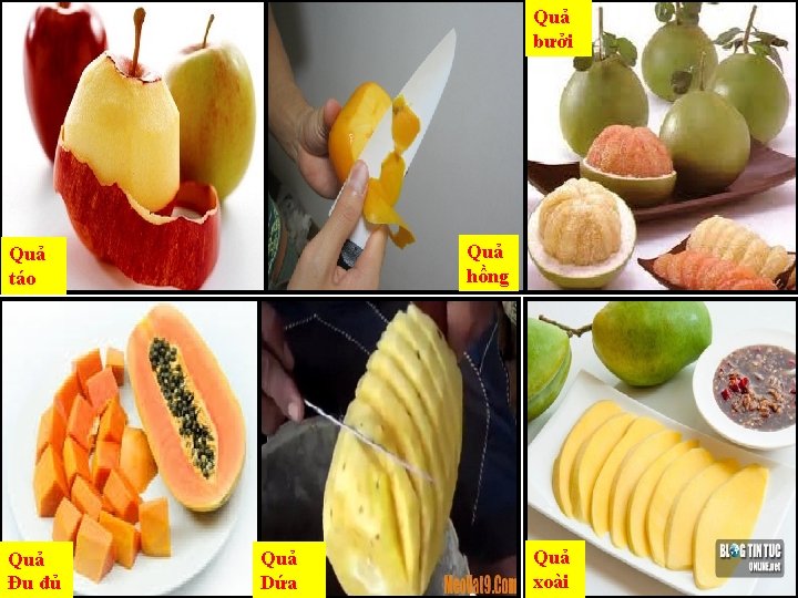 Quả bưởi Quả hồng Quả táo Quả Đu đủ Quả Dứa Quả xoài Quả bưởi Quả hồng Quả táo Quả Đu đủ Quả Dứa Quả xoài