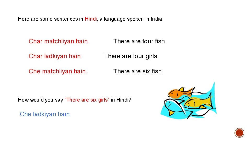 Here are some sentences in Hindi, a language spoken in India. Char matchliyan hain.