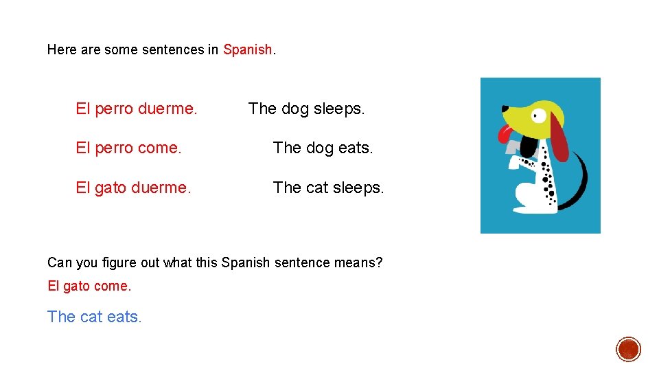 Here are some sentences in Spanish. El perro duerme. The dog sleeps. El perro