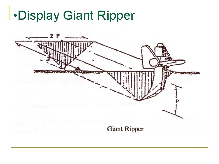 • • Display Giant Ripper • • Display Giant Ripper