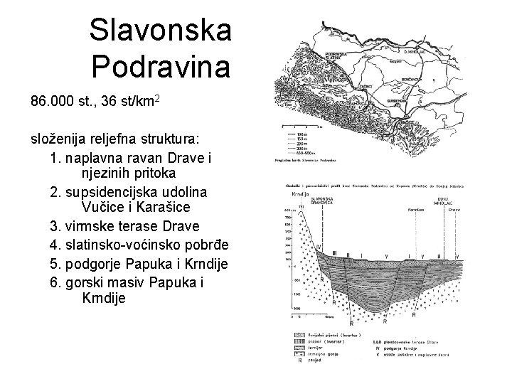 Slavonska Podravina 86. 000 st. , 36 st/km 2 složenija reljefna struktura: 1. naplavna