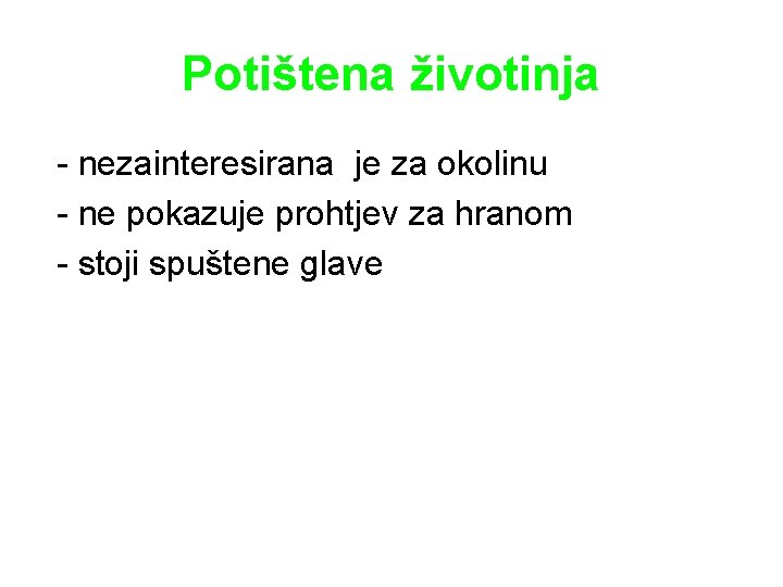 Potištena životinja - nezainteresirana je za okolinu - ne pokazuje prohtjev za hranom -