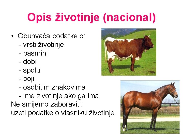 Opis životinje (nacional) • Obuhvaća podatke o: - vrsti životinje - pasmini - dobi