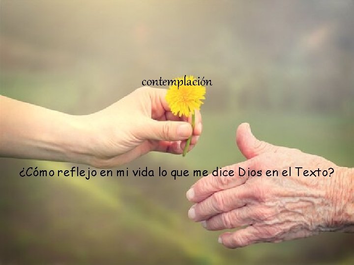 contemplación ¿Cómo reflejo en mi vida lo que me dice Dios en el Texto?