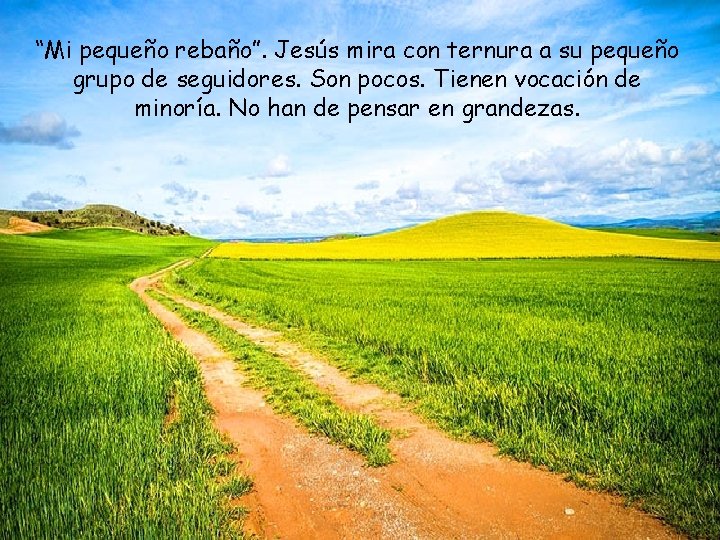 “Mi pequeño rebaño”. Jesús mira con ternura a su pequeño grupo de seguidores. Son