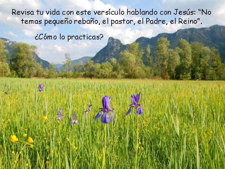 Revisa tu vida con este versículo hablando con Jesús: “No temas pequeño rebaño, el