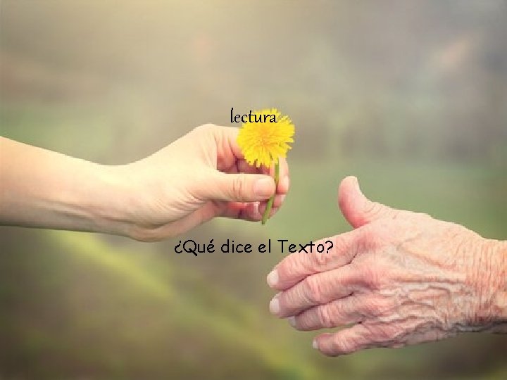 lectura ¿Qué dice el Texto? 