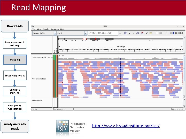 Read Mapping Click to edit Master title style Raw reads Read assessment and prep