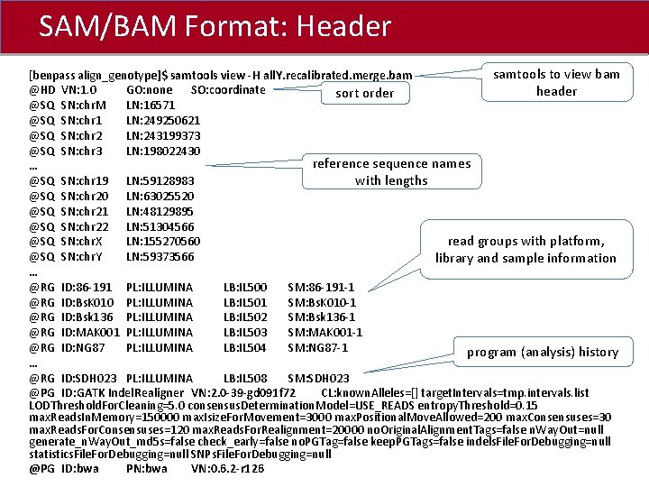 SAM/BAM Format: Header Click to edit Master title style samtools to view bam [benpass