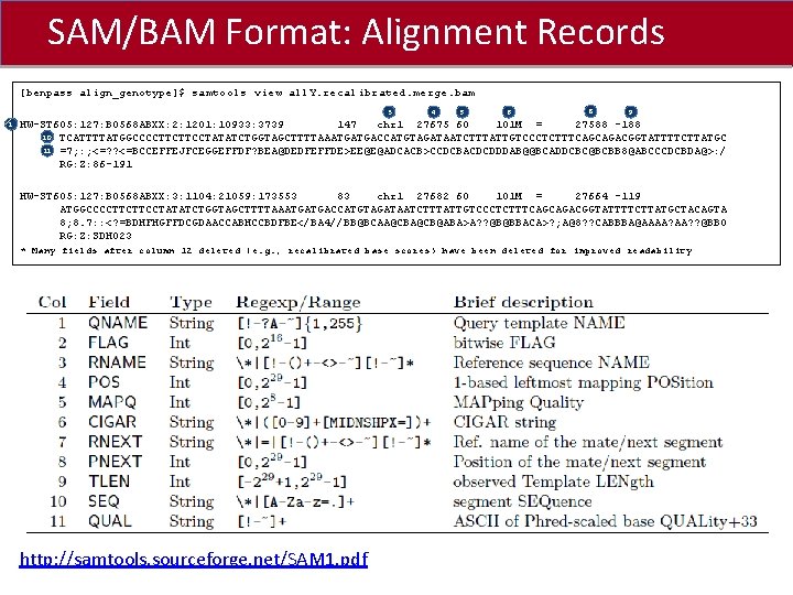 SAM/BAM Format: Alignment Records Click to edit Master title style [benpass align_genotype]$ samtools view