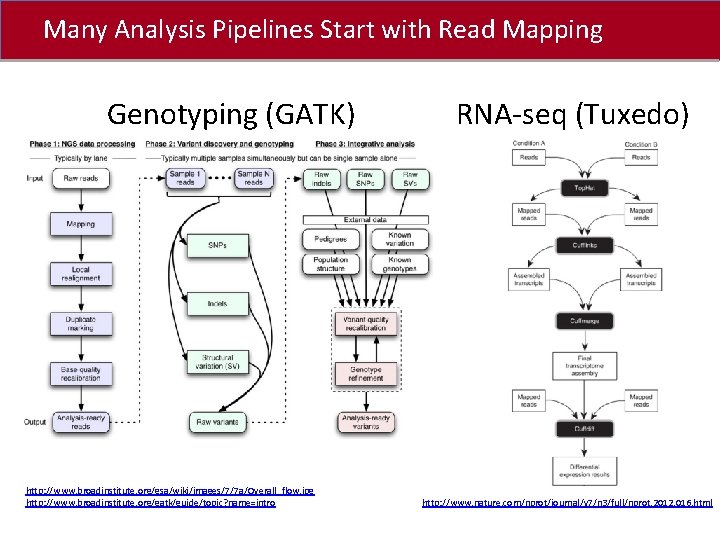 Many Analysis Pipelines Start with Read Mapping Click to edit Master title style Genotyping