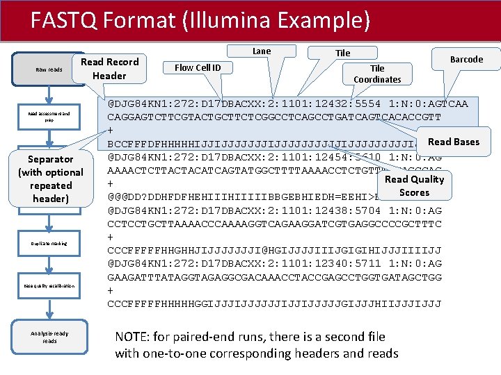 FASTQ Format (Illumina Example) Click to edit Master title style Raw reads Read Record