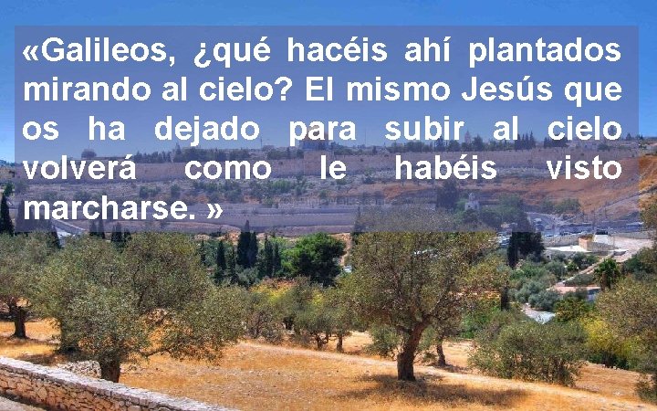 «Galileos, ¿qué hacéis ahí plantados mirando al cielo? El mismo Jesús que os «Galileos, ¿qué hacéis ahí plantados mirando al cielo? El mismo Jesús que os