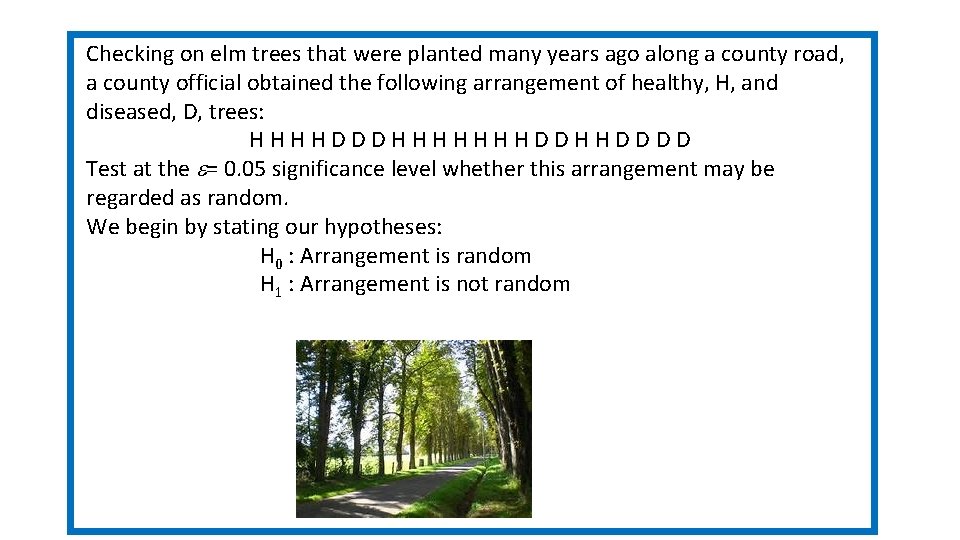 Checking on elm trees that were planted many years ago along a county road, Checking on elm trees that were planted many years ago along a county road,