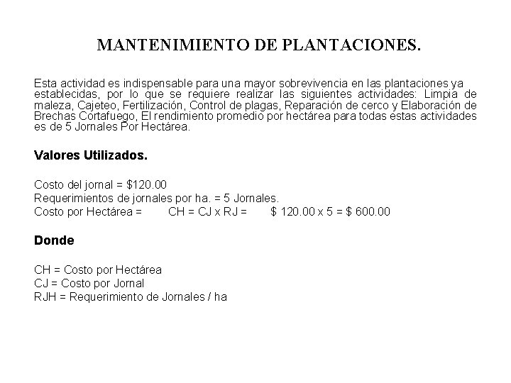 MANTENIMIENTO DE PLANTACIONES. Esta actividad es indispensable para una mayor sobrevivencia en las plantaciones