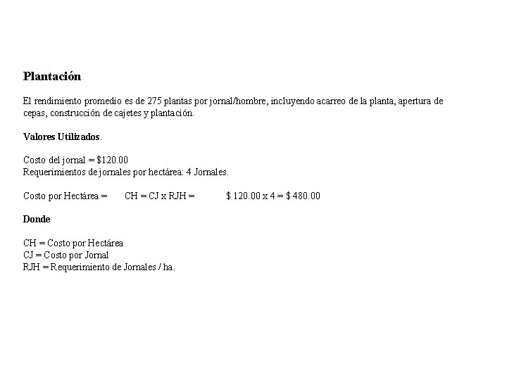 Plantación El rendimiento promedio es de 275 plantas por jornal/hombre, incluyendo acarreo de la