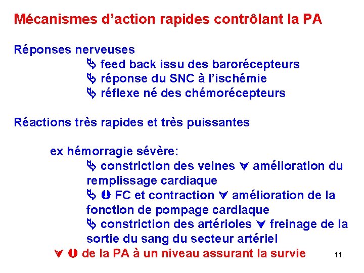 Mécanismes d’action rapides contrôlant la PA Réponses nerveuses feed back issu des barorécepteurs réponse