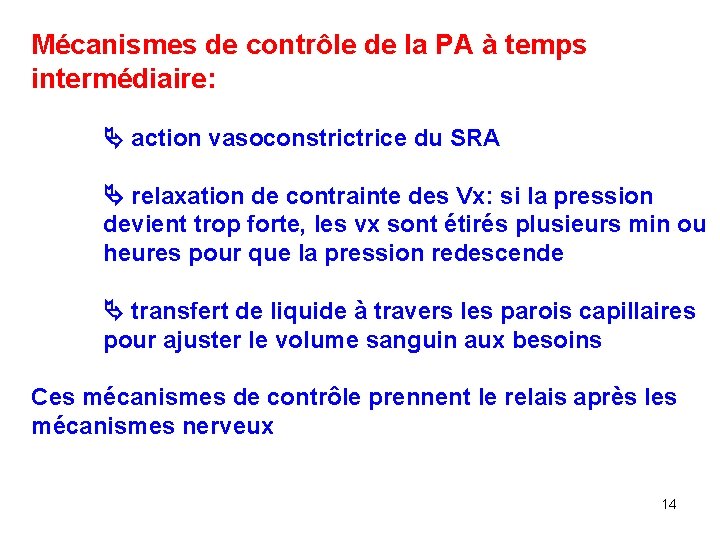 Mécanismes de contrôle de la PA à temps intermédiaire: action vasoconstrice du SRA relaxation