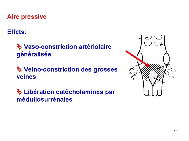 Aire pressive Effets: Vaso-constriction artériolaire généralisée Veino-constriction des grosses veines Libération catécholamines par médullosurrénales