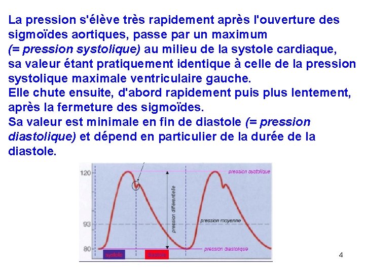 La pression s'élève très rapidement après l'ouverture des sigmoïdes aortiques, passe par un maximum