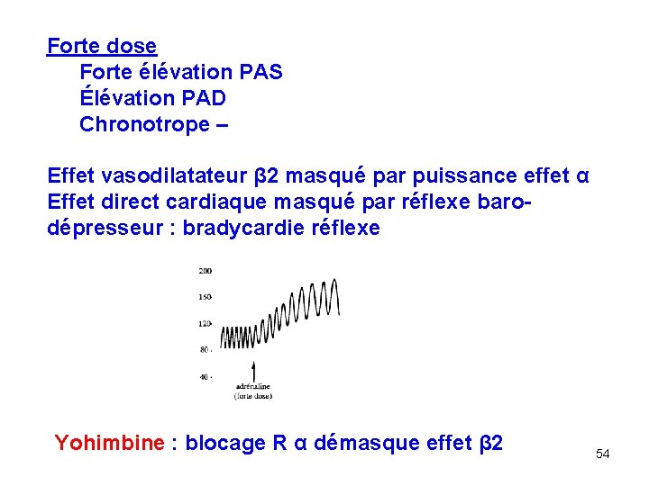 Forte dose Forte élévation PAS Élévation PAD Chronotrope – Effet vasodilatateur β 2 masqué