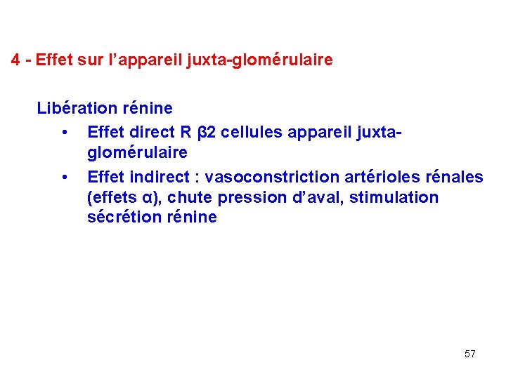 4 - Effet sur l’appareil juxta-glomérulaire Libération rénine • Effet direct R β 2