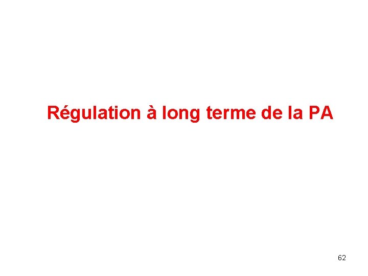 Régulation à long terme de la PA 62 