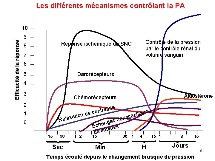 Les différents mécanismes contrôlant la PA 10 Efficacité de la réponse 9 Contrôle de