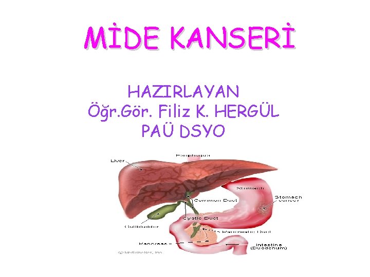 MİDE KANSERİ HAZIRLAYAN Öğr. Gör. Filiz K. HERGÜL PAÜ DSYO MİDE KANSERİ HAZIRLAYAN Öğr. Gör. Filiz K. HERGÜL PAÜ DSYO