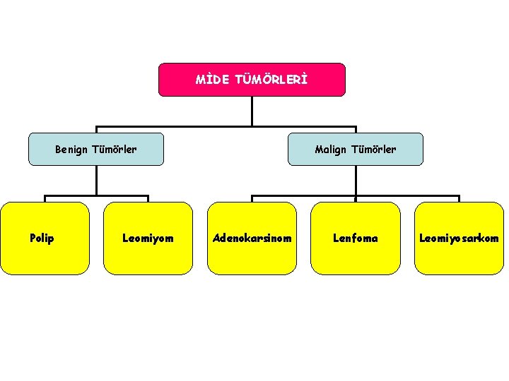 MİDE TÜMÖRLERİ Benign Tümörler Polip Leomiyom Malign Tümörler Adenokarsinom Lenfoma Leomiyosarkom MİDE TÜMÖRLERİ Benign Tümörler Polip Leomiyom Malign Tümörler Adenokarsinom Lenfoma Leomiyosarkom