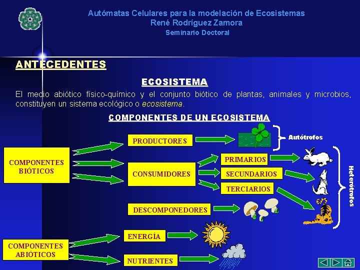 Autómatas Celulares para la modelación de Ecosistemas René Rodríguez Zamora Seminario Doctoral ANTECEDENTES ECOSISTEMA