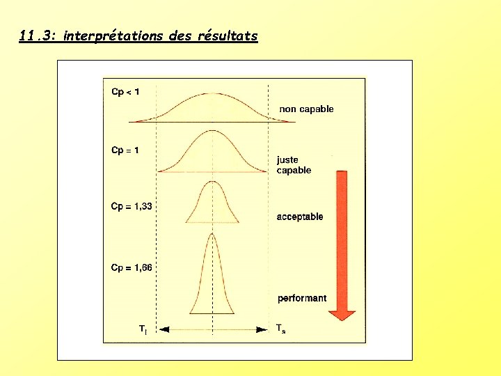 11. 3: interprétations des résultats 