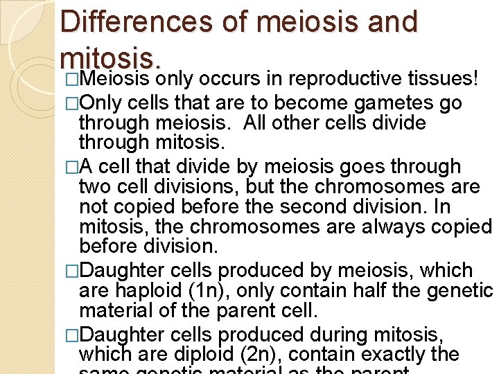 Differences of meiosis and mitosis. �Meiosis only occurs in reproductive tissues! �Only cells that