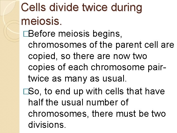 Cells divide twice during meiosis. �Before meiosis begins, chromosomes of the parent cell are