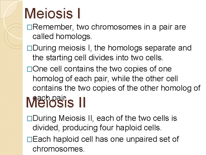 Meiosis I �Remember, two chromosomes in a pair are called homologs. �During meiosis I,