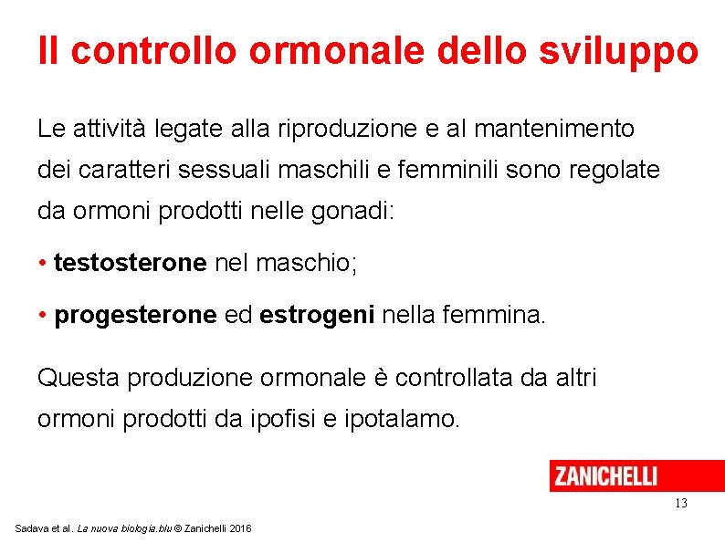 Il controllo ormonale dello sviluppo Le attività legate alla riproduzione e al mantenimento dei