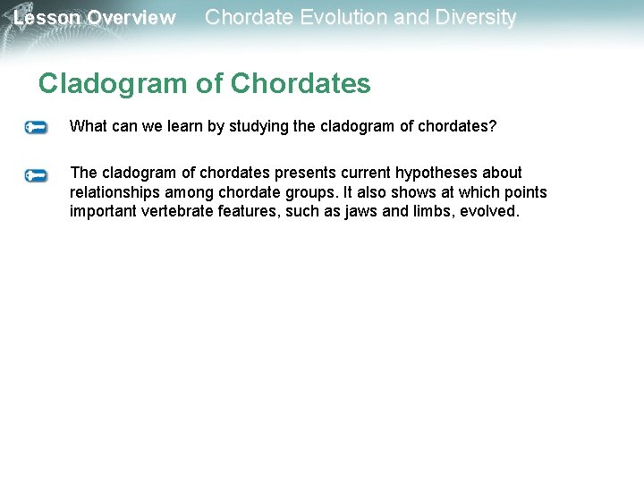 Lesson Overview Chordate Evolution and Diversity Cladogram of Chordates What can we learn by