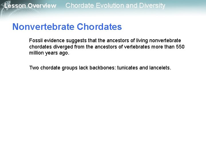 Lesson Overview Chordate Evolution and Diversity Nonvertebrate Chordates Fossil evidence suggests that the ancestors Lesson Overview Chordate Evolution and Diversity Nonvertebrate Chordates Fossil evidence suggests that the ancestors