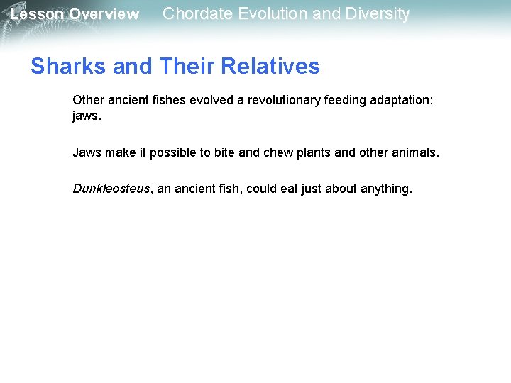 Lesson Overview Chordate Evolution and Diversity Sharks and Their Relatives Other ancient fishes evolved Lesson Overview Chordate Evolution and Diversity Sharks and Their Relatives Other ancient fishes evolved