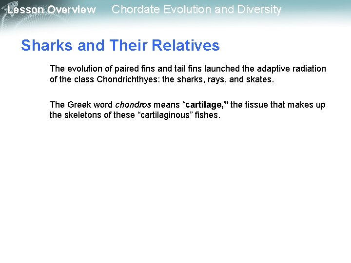 Lesson Overview Chordate Evolution and Diversity Sharks and Their Relatives The evolution of paired
