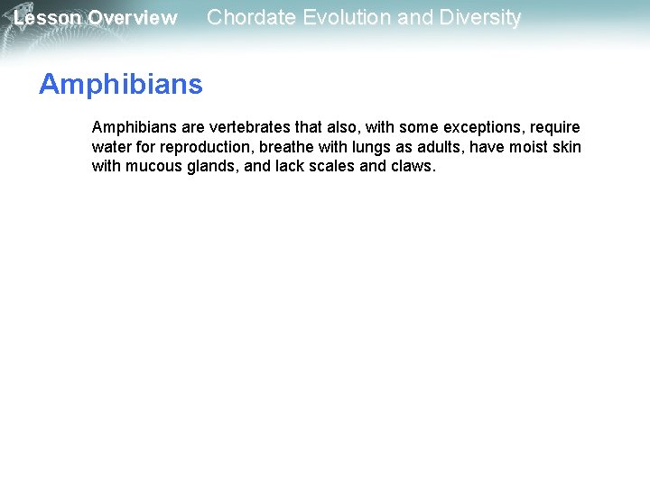 Lesson Overview Chordate Evolution and Diversity Amphibians are vertebrates that also, with some exceptions, Lesson Overview Chordate Evolution and Diversity Amphibians are vertebrates that also, with some exceptions,