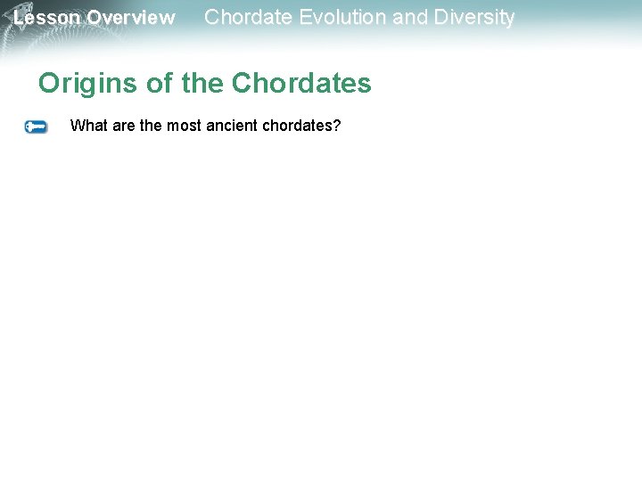 Lesson Overview Chordate Evolution and Diversity Origins of the Chordates What are the most