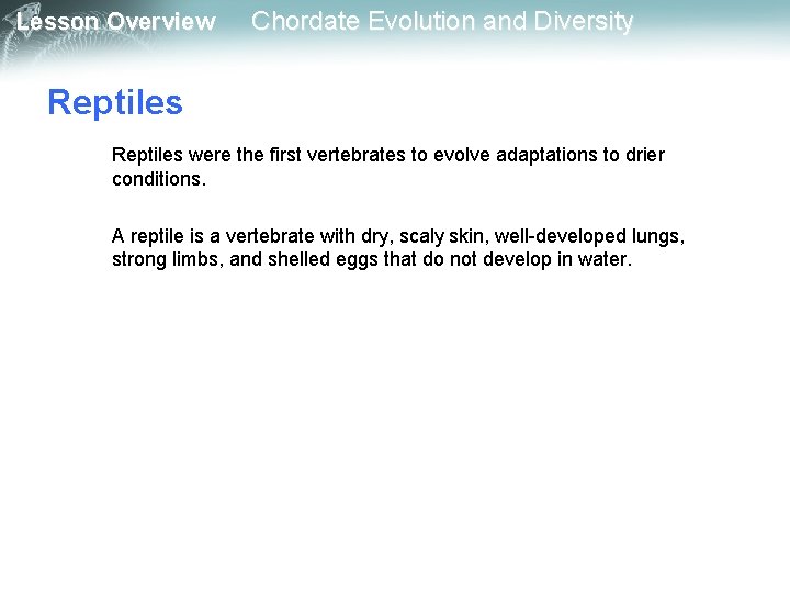 Lesson Overview Chordate Evolution and Diversity Reptiles were the first vertebrates to evolve adaptations