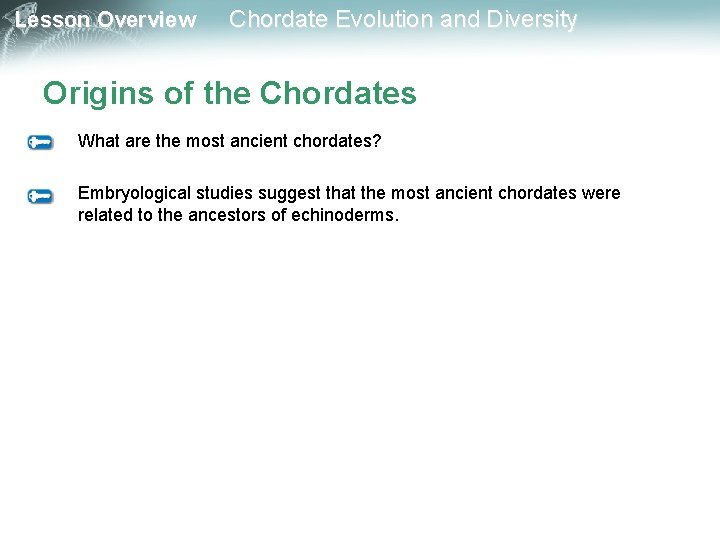 Lesson Overview Chordate Evolution and Diversity Origins of the Chordates What are the most