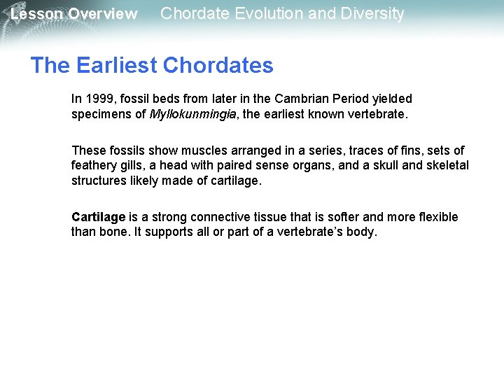 Lesson Overview Chordate Evolution and Diversity The Earliest Chordates In 1999, fossil beds from