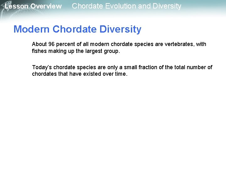 Lesson Overview Chordate Evolution and Diversity Modern Chordate Diversity About 96 percent of all