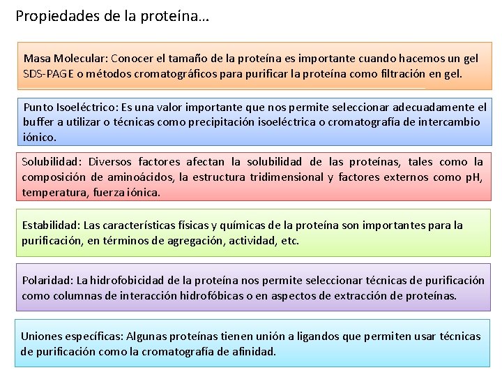 Propiedades de la proteína… Masa Molecular: Conocer el tamaño de la proteína es importante Propiedades de la proteína… Masa Molecular: Conocer el tamaño de la proteína es importante