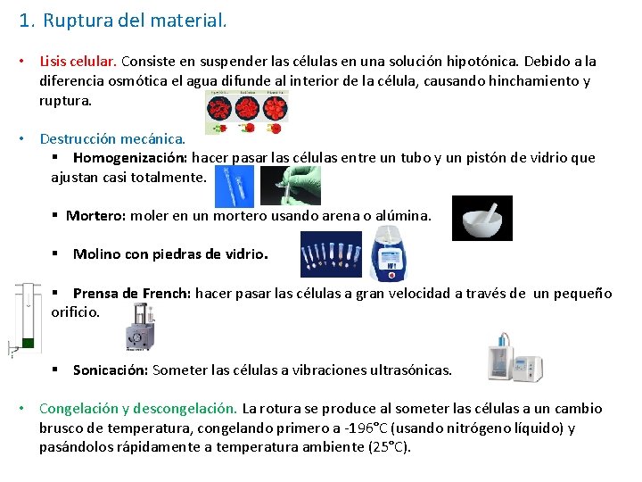 1. Ruptura del material. • Lisis celular. Consiste en suspender las células en una 1. Ruptura del material. • Lisis celular. Consiste en suspender las células en una