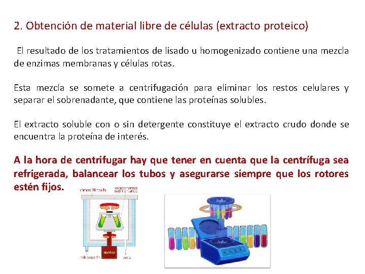 2. Obtención de material libre de células (extracto proteico) El resultado de los tratamientos 2. Obtención de material libre de células (extracto proteico) El resultado de los tratamientos